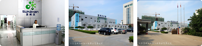 蘇柯漢公司