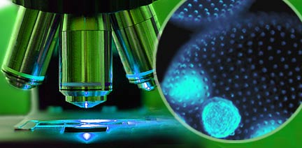 microscope1.jpg