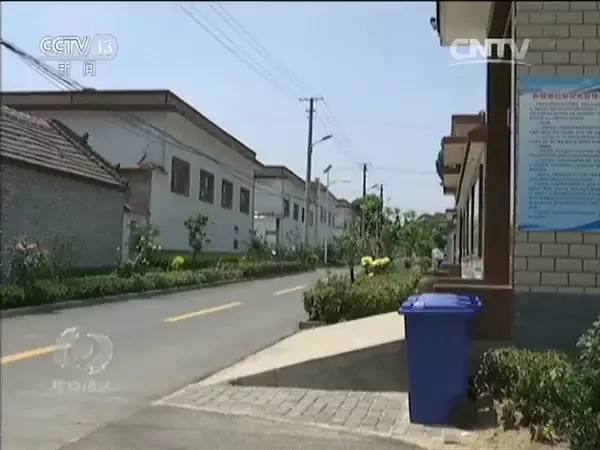 垃圾收集分類